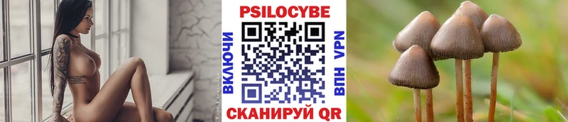 что такое   Олёкминск  Псилоцибиновые грибы мицелий 