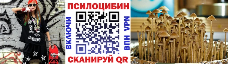Псилоцибиновые грибы Psilocybe Олёкминск